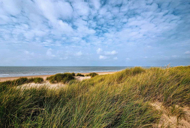 Wide coastal dune landscape with tall green grasses, sandy beach and calm sea under a clouded blue sky.