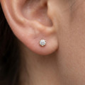 4.00 carat solitaire earrings in yellow gold with yellow lab grown diamonds