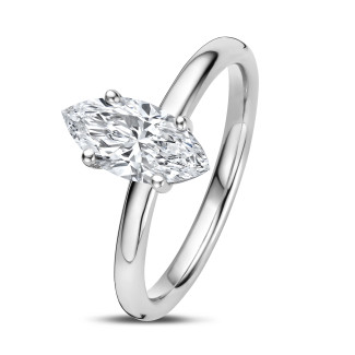 
                                                1.20 Qt