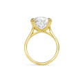 Bague unique en son genre avec diamant de 10,14 carats, taille coussin allongée Old Mine, créé en laboratoire, monté sur or jaune.