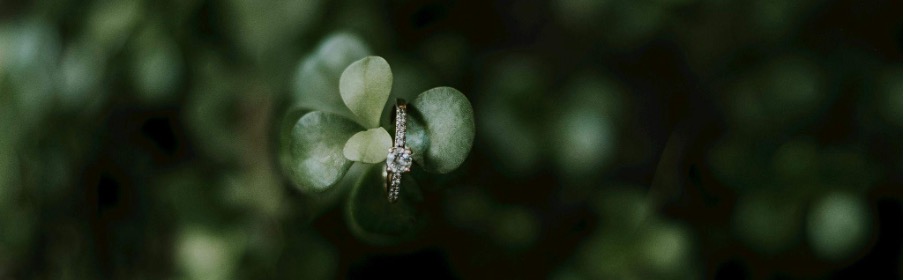 une belle bague d'éternité avec un diamant dans un cadre naturel